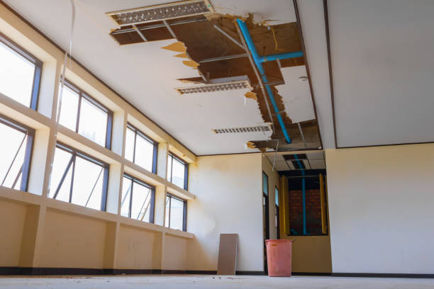 Best Water damage cleanup near me  in Carrboro, NC