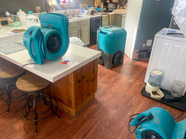 Best Mold removal after water damage  in Carrboro, NC