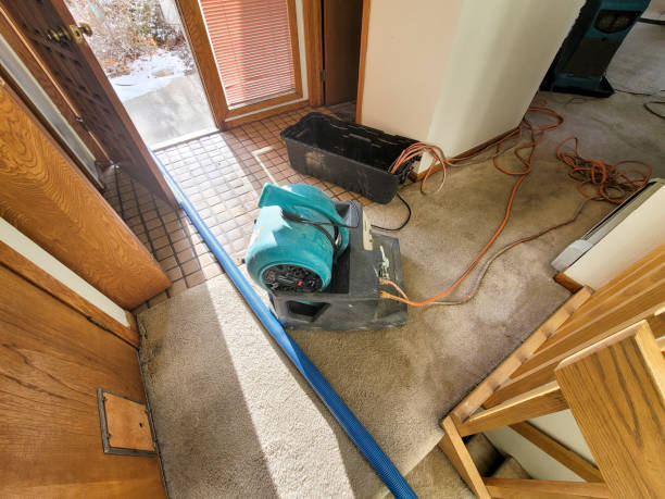 Best Flood restoration services  in Carrboro, NC