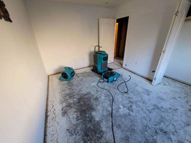 Best Water damage repair service  in Carrboro, NC