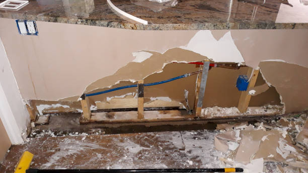 Best Flood damage cleanup  in Carrboro, NC