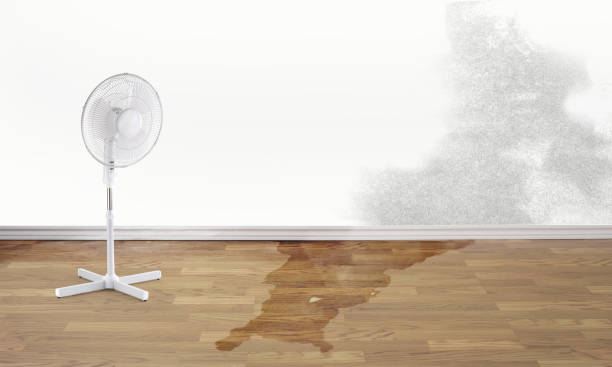 Best Flood damage cleanup  in Carrboro, NC