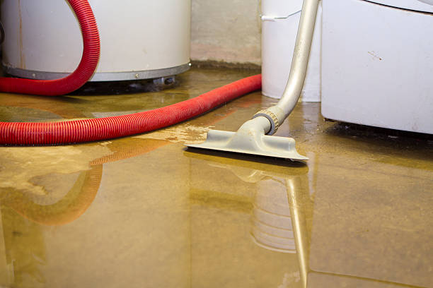 Best Commercial water damage restoration  in Carrboro, NC