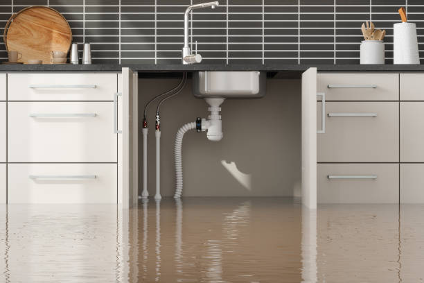 Best Flood damage cleanup  in Carrboro, NC