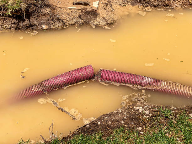 Best Water damage restoration near me  in Carrboro, NC